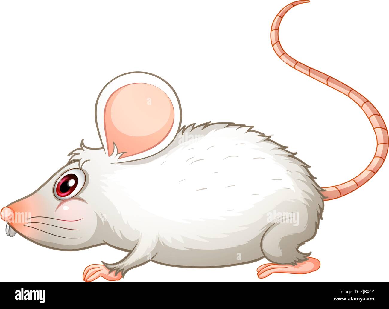 Abbildung: weiße Maus auf weißem Hintergrund Stock Vektor