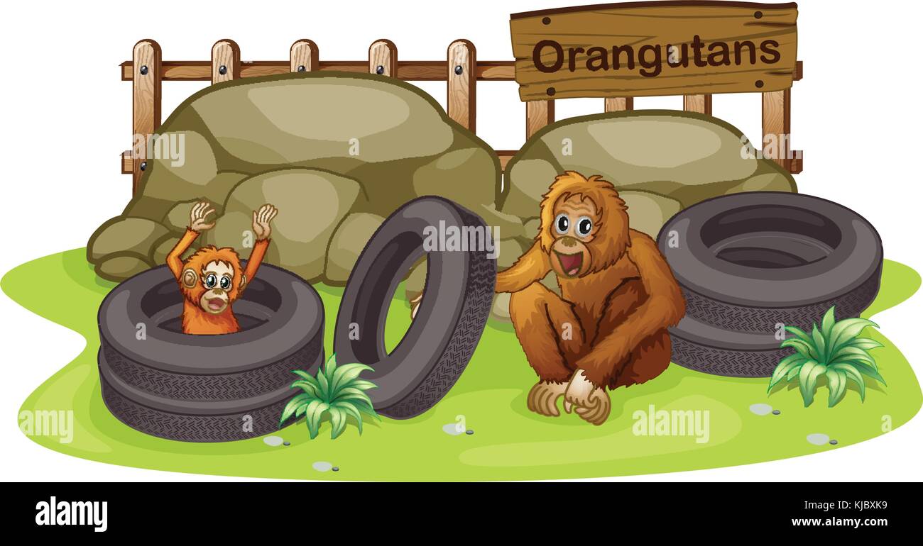 Illusytration der ein alter und ein junger Orang-utan auf weißem Hintergrund Stock Vektor