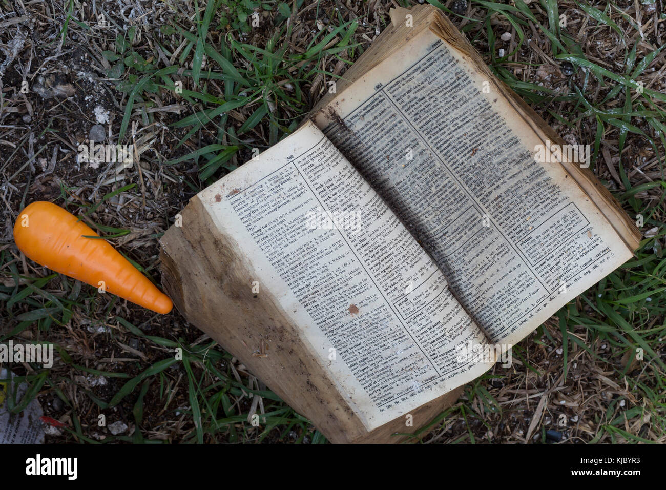 Humble, Texas - ein waterlogged Wörterbuch und ein Spielzeug Karotte sind unter den Trümmern heraus geworfen, nachdem die Mana Familienandacht Zentrum wurde von Hurrican überflutet Stockfoto