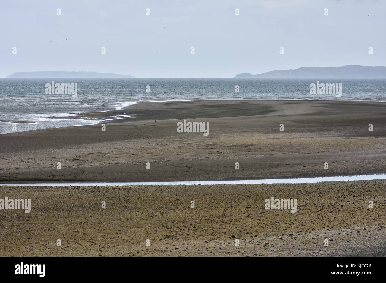 Flache dunklen Sandstrand bei Ebbe im Hauraki Golf in Neuseeland. Stockfoto