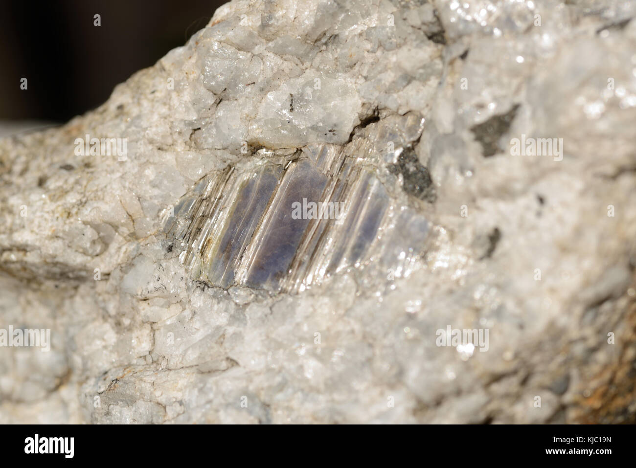 Ein riesiger Kristall aus Eisen Schwefelkies eingebettet in weißen Quarz Stockfoto