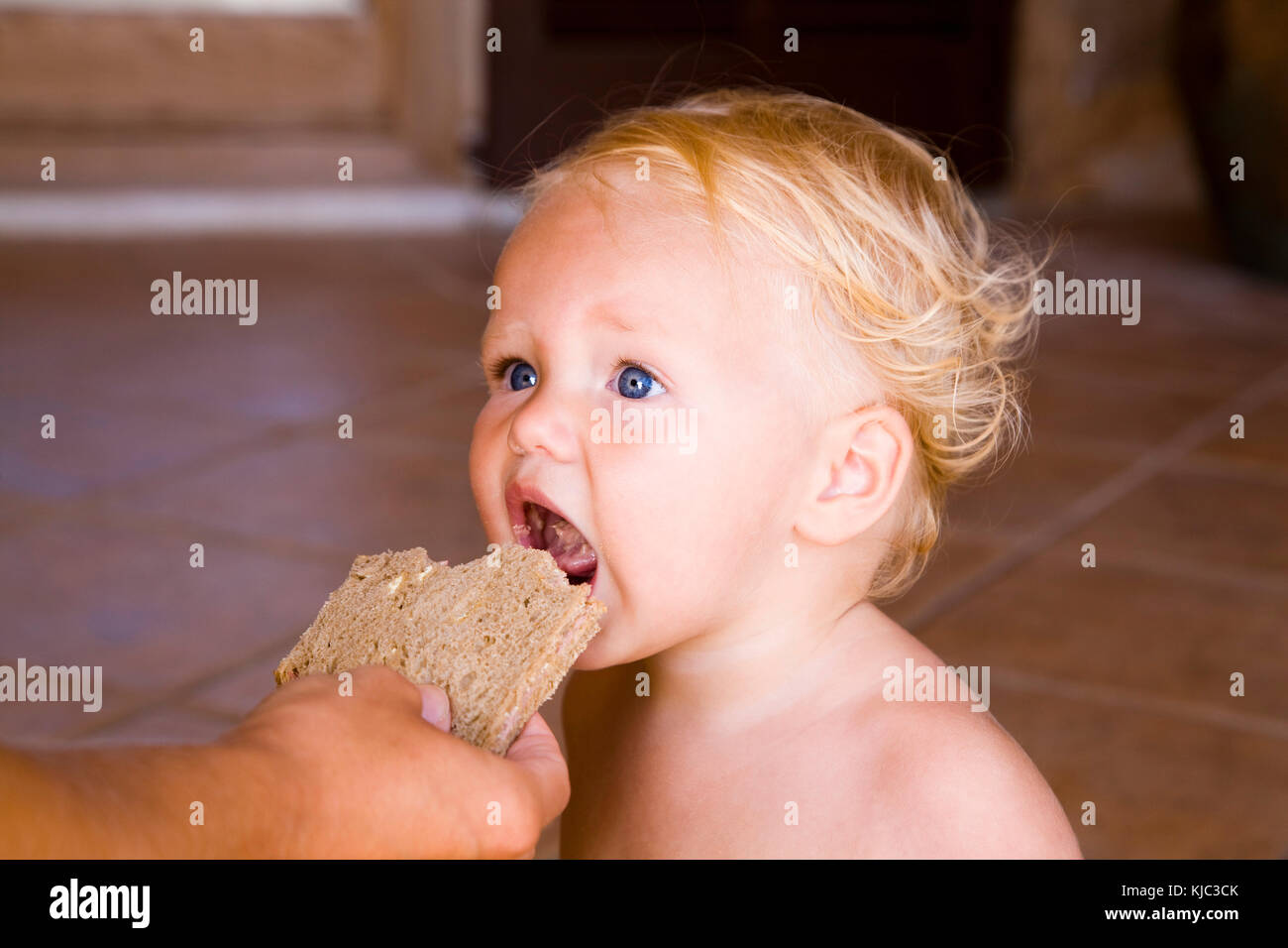 Baby essen Stück Brot Stockfoto