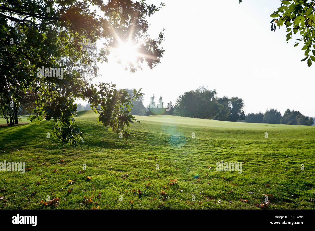 Golfplatz Stockfoto
