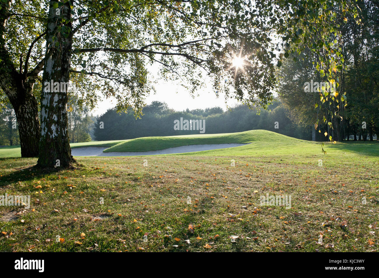 Golfplatz Stockfoto