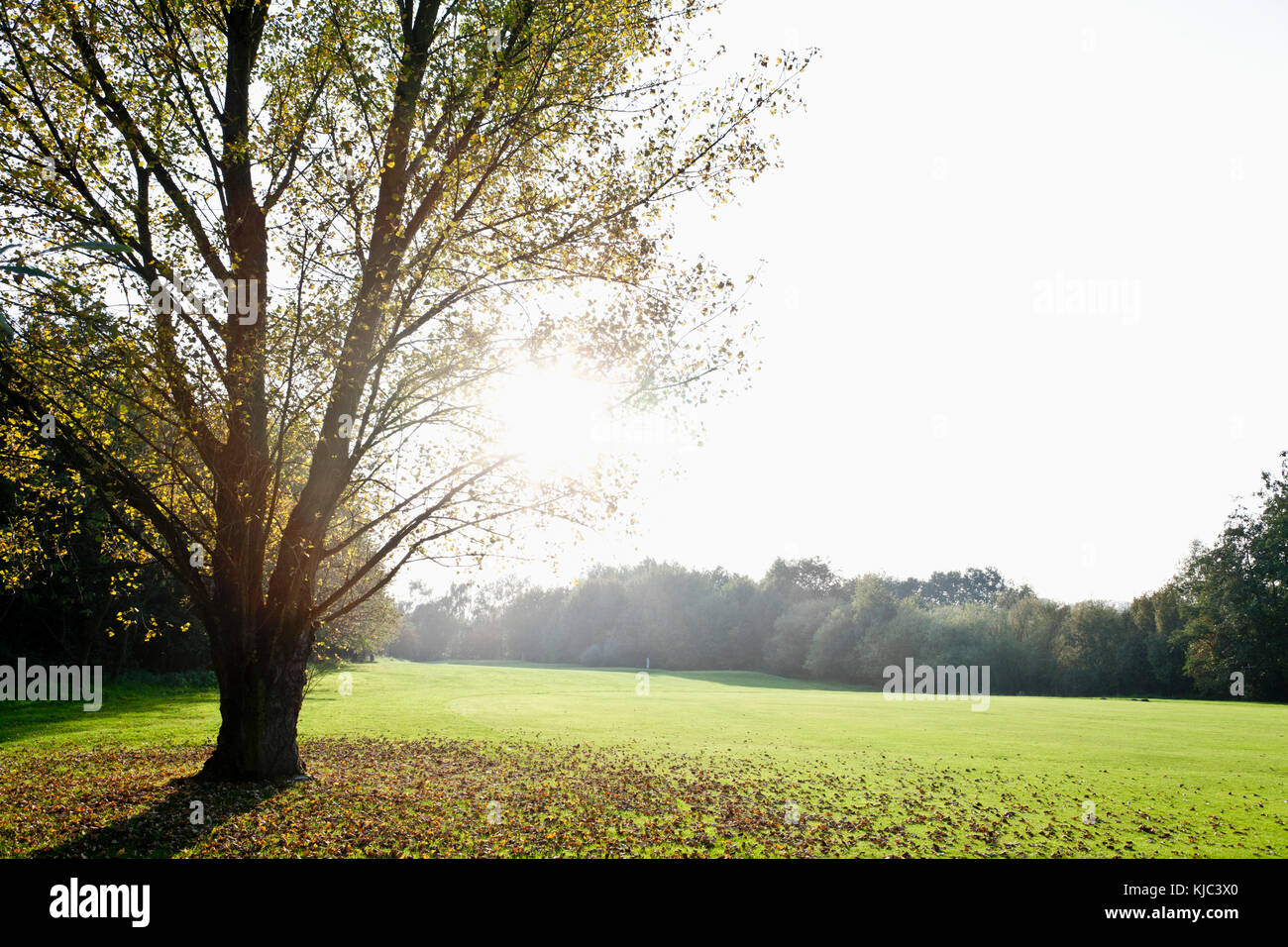 Golfplatz Stockfoto