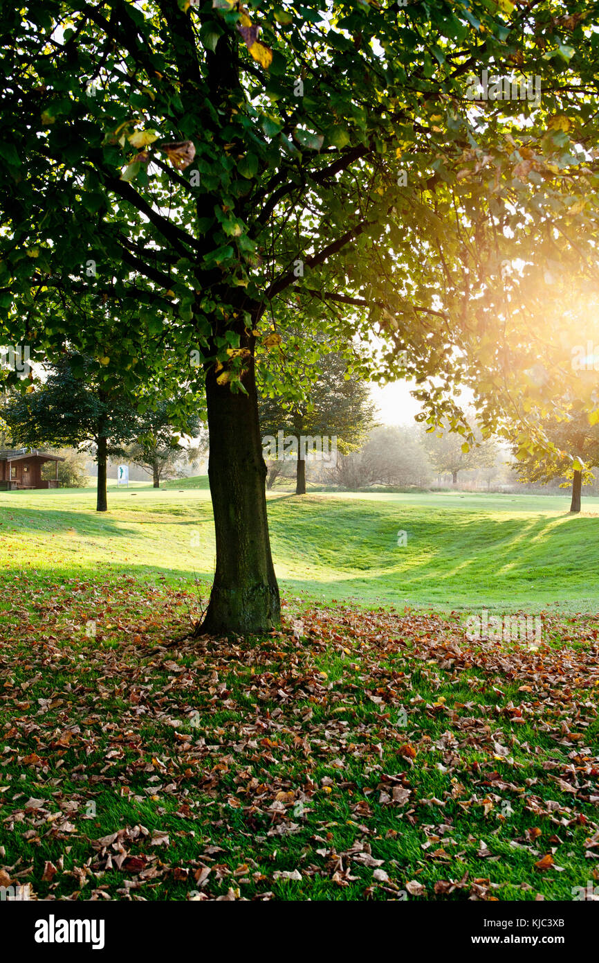 Golfplatz Stockfoto