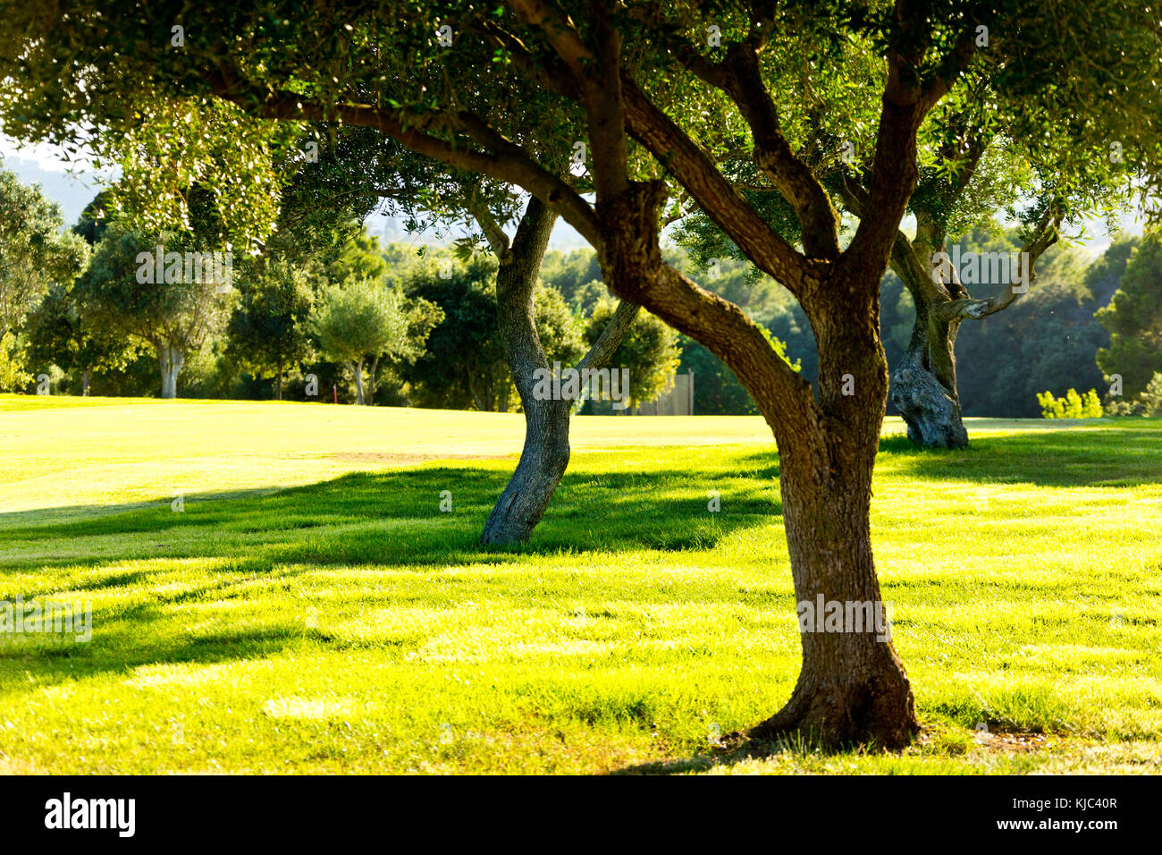 Golfplatz, Son Servera, Mallorca, Balearen, Spanien Stockfoto