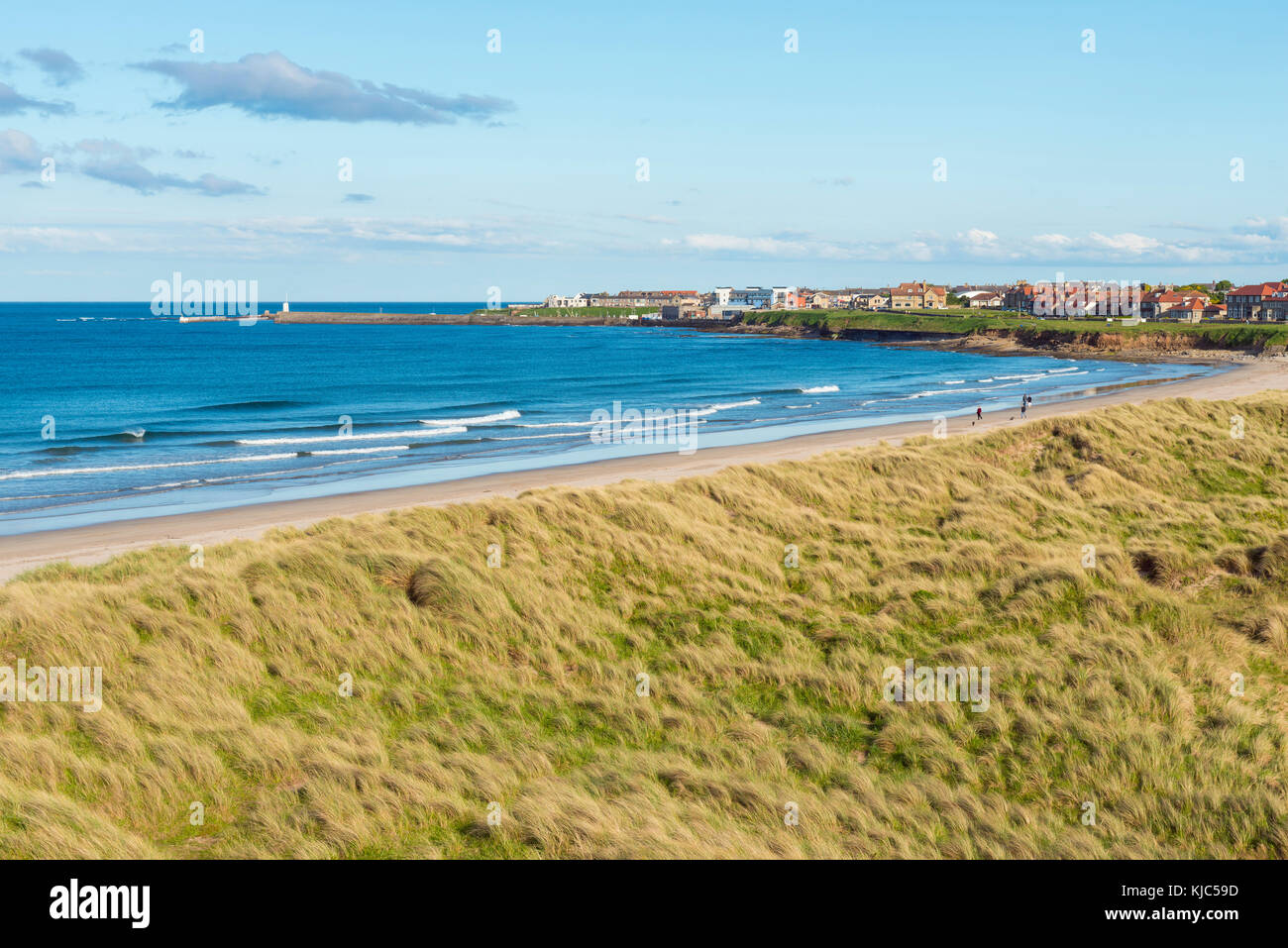 Grasbewachsene Dünen und Strand entlang der Nordsee, Stadt Seahouses im Hintergrund in Northumberland, England, Großbritannien Stockfoto