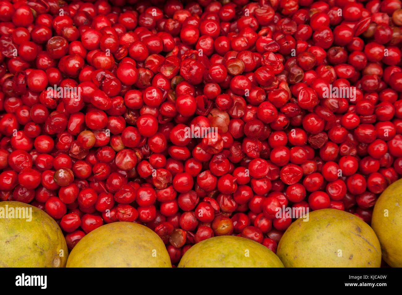 Grapefruit und roten Beeren im Charminar Markt, Hyderabad, Indien. Stockfoto