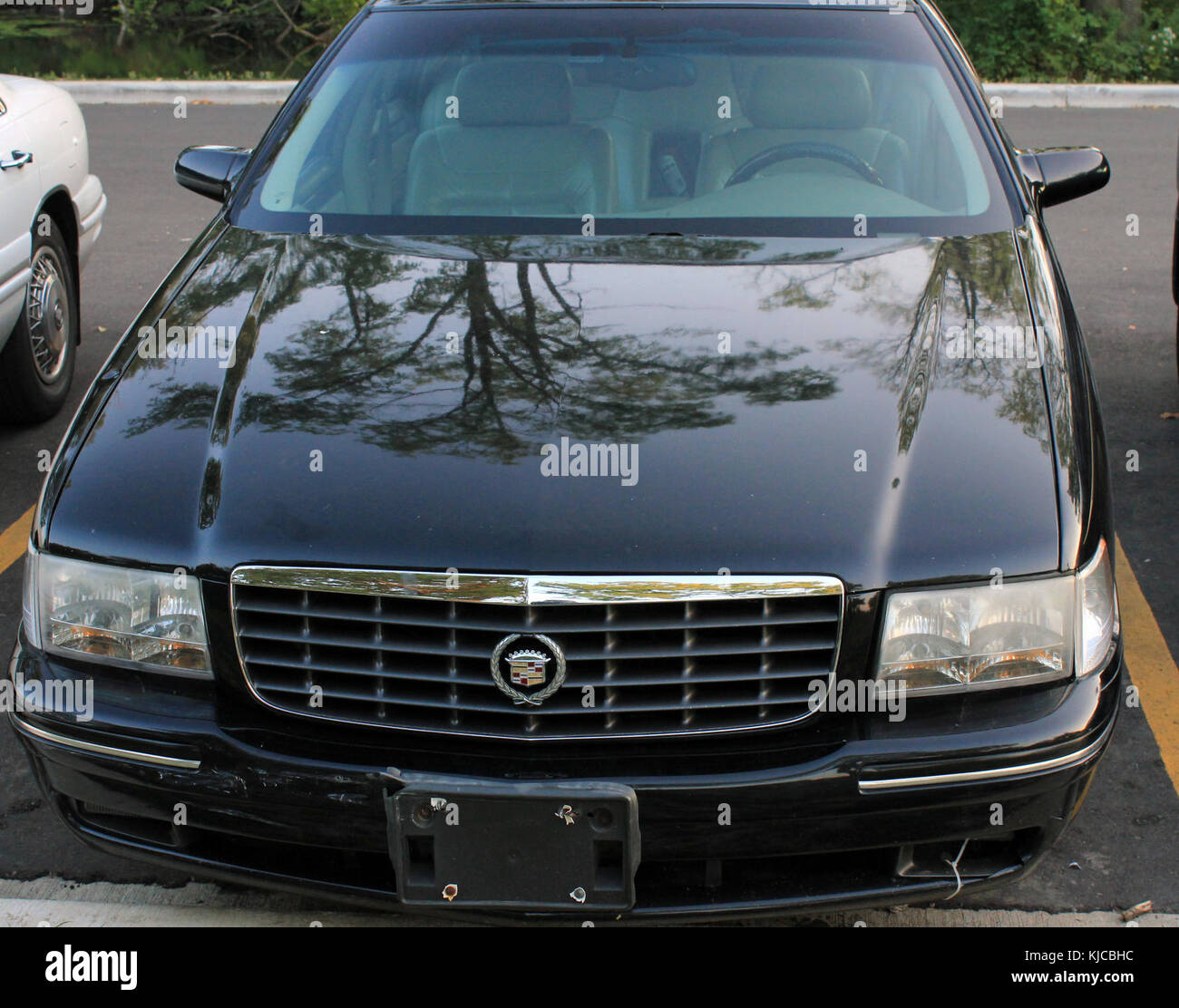 Gfp Cadillac Stockfoto