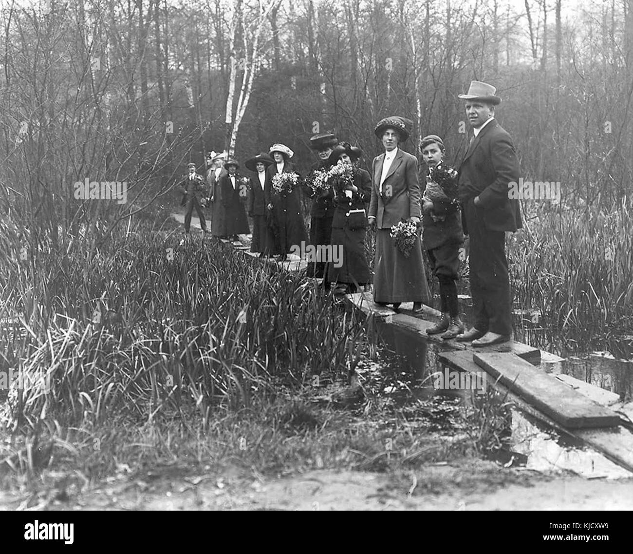 Universität von Toronto Botanik Klasse in High Park 1910 Stockfoto