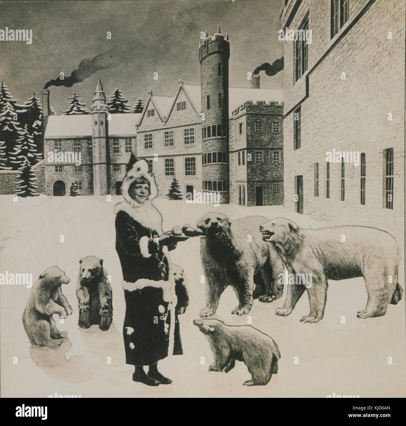 Der Palast Bären (HS 85 10 32292) Stockfoto