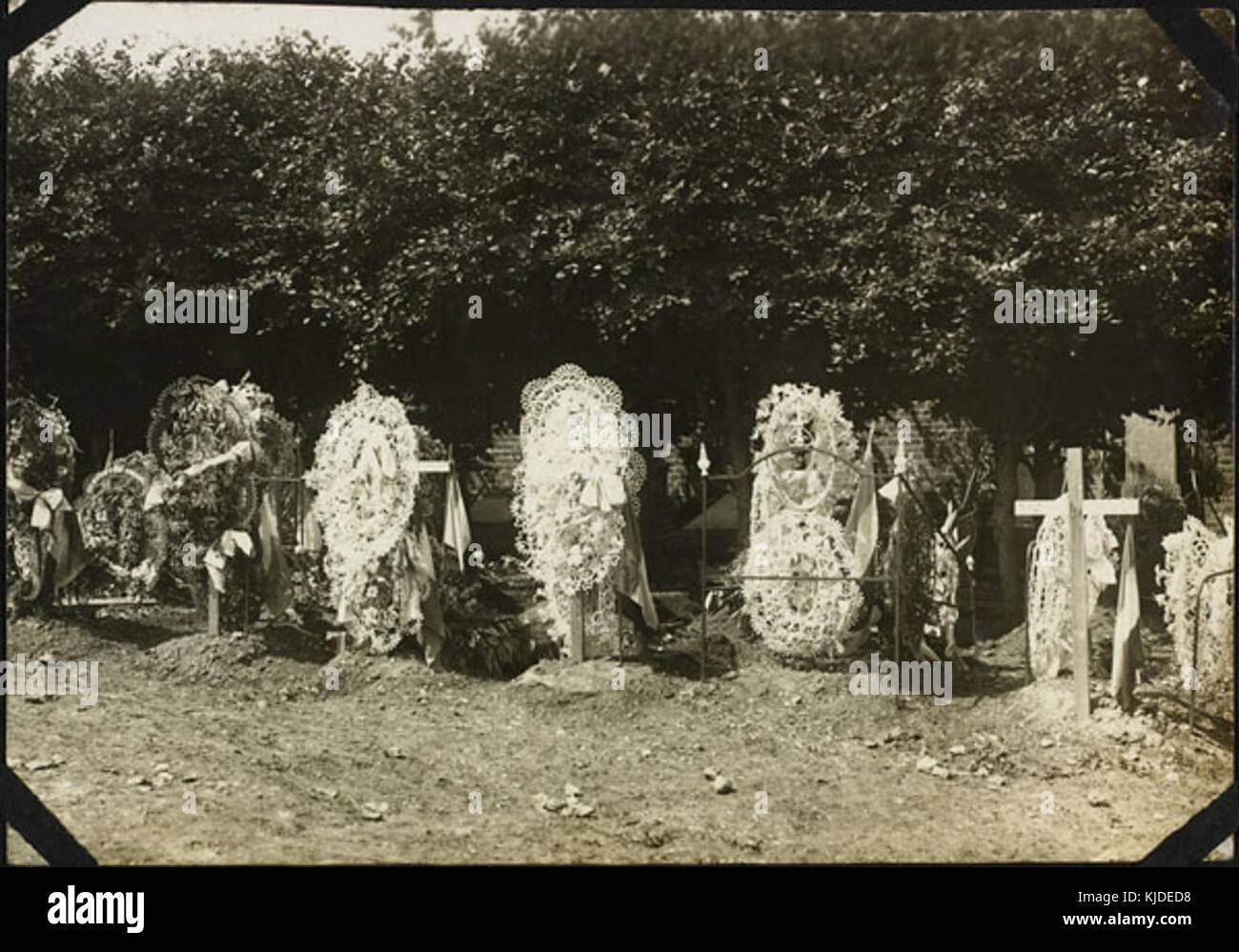 E 007150637 Stockfoto