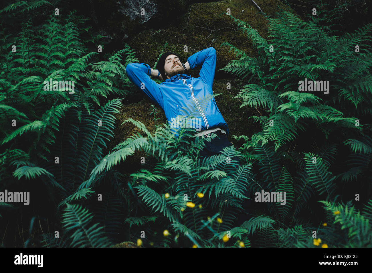 Kaukasische mann Verlegung auf Rock im Laub Stockfoto