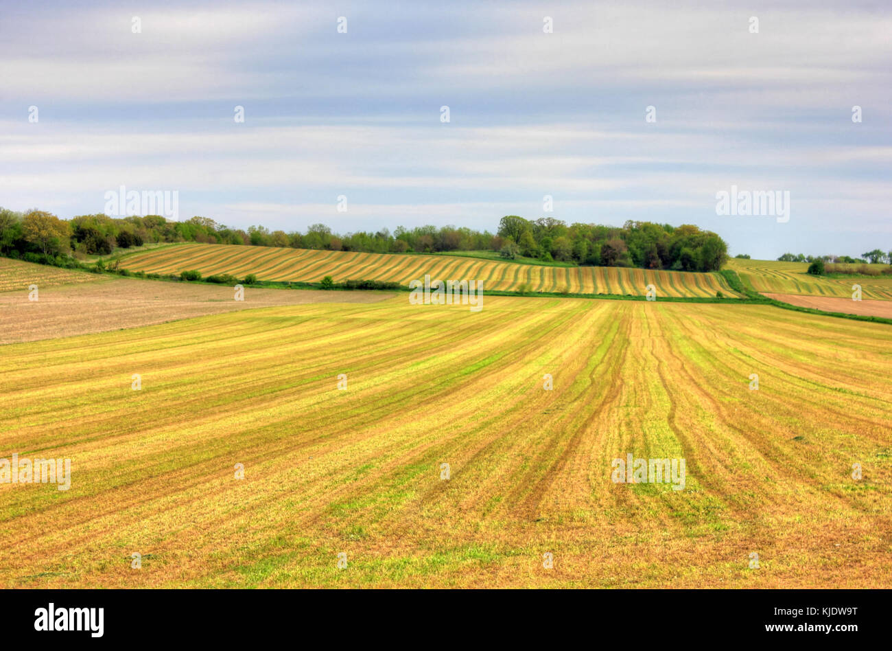 Gfp Südwisconsin leer Farm zu den Horizont Stockfoto Gfp Südwisconsin leer Farm zu den Horizont Stockfoto
