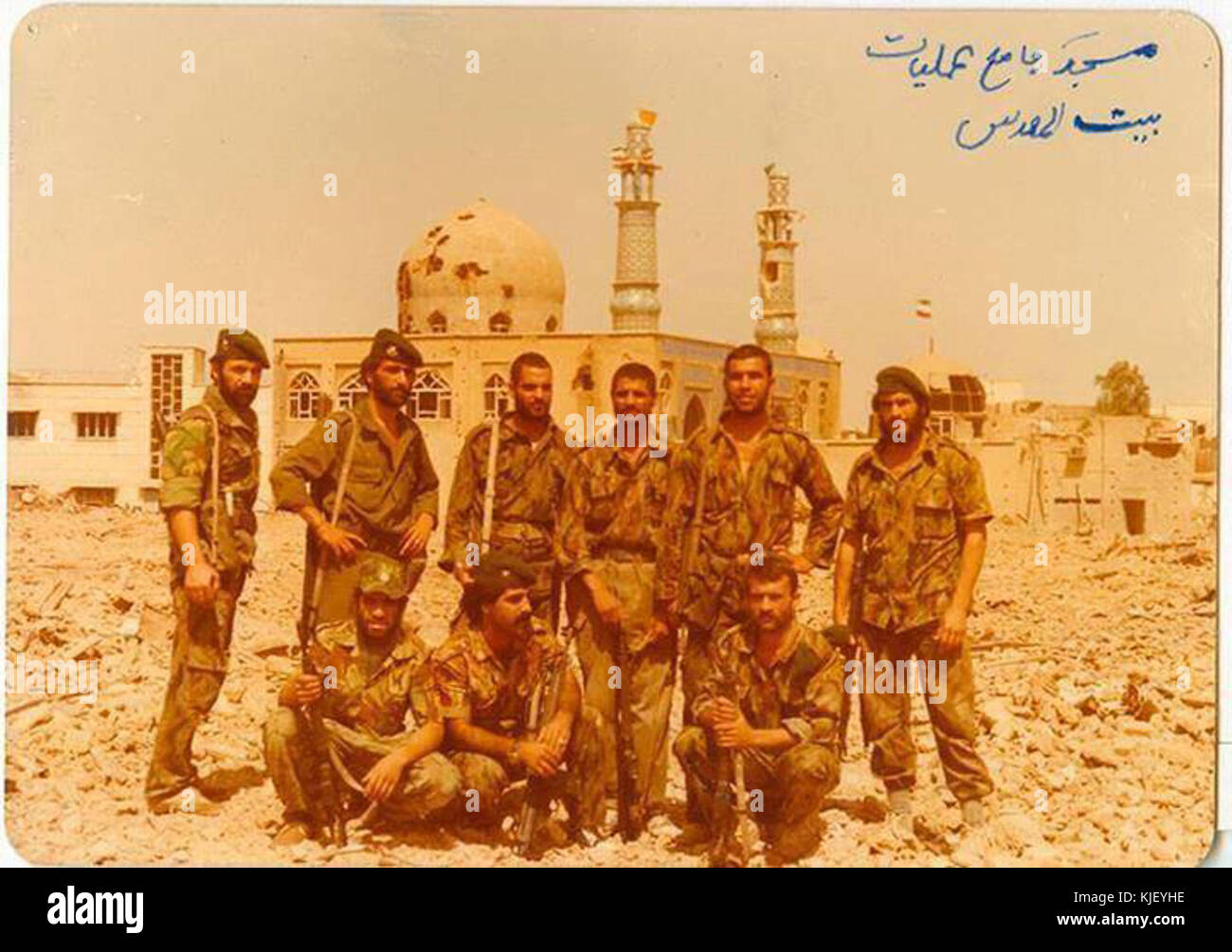 Persische Grünhelme Stockfoto