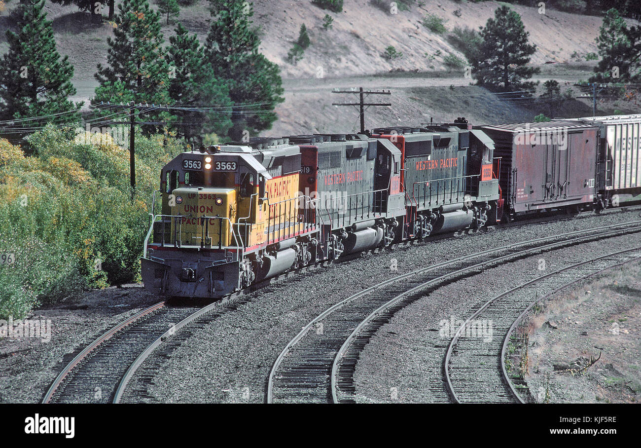 Bis SD 40 2 3563, WP GP 40 3519, und WP GP 40 2 3553 Richtung Westen am Frühling Garten, CA im Oktober 1982 (26810187760) Stockfoto