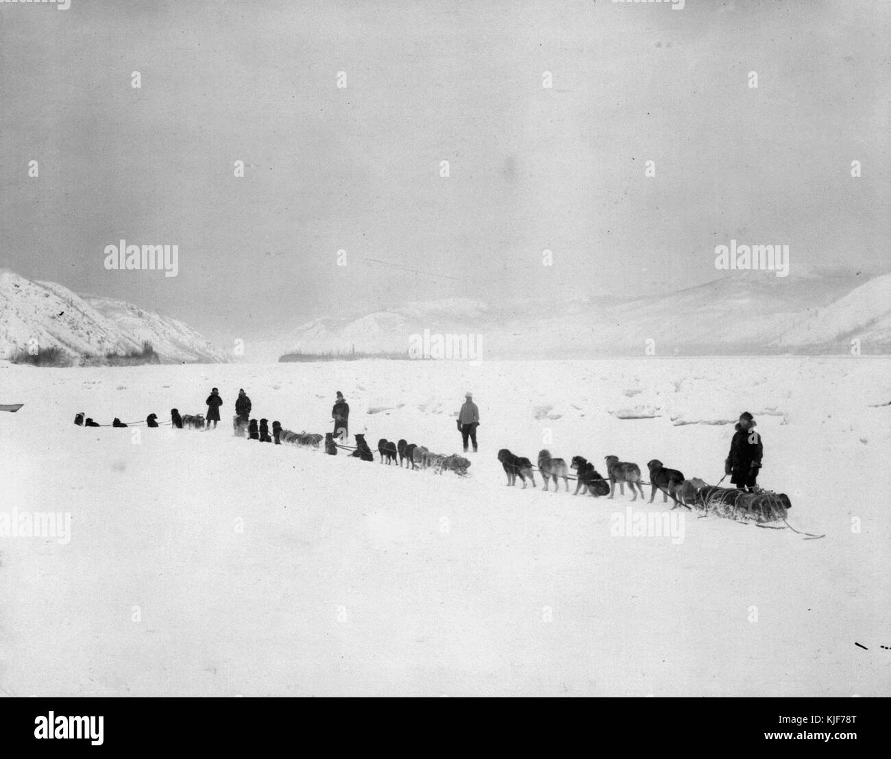 Royal North West Mounted Police Patrol Dawson zu Herschel 27. Dezember 1909 Nr. 1 (HS 85 10 22038) gereinigt Stockfoto