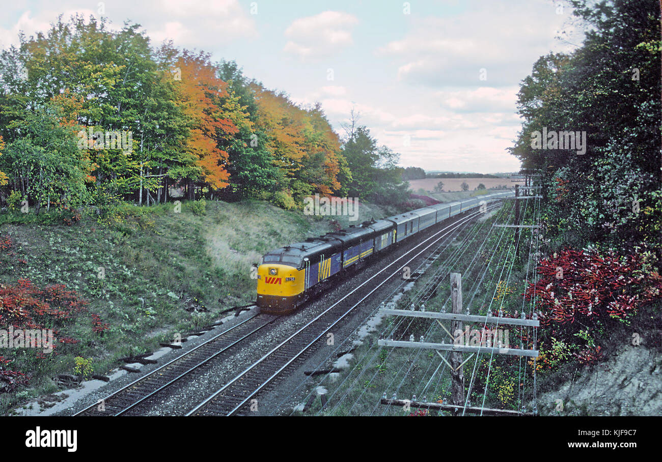 5 ÜBER FPA 4s und Züge von Roger Puta (36653594570) Stockfoto