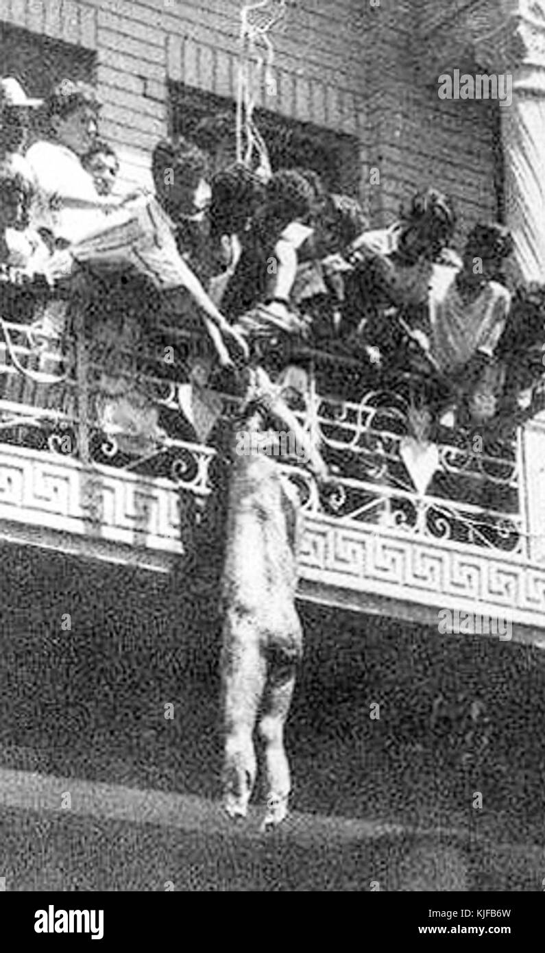 14. Juli Revolution 1958 Bagdad verstümmelte Leiche von Abd ul-Ilah Stockfoto