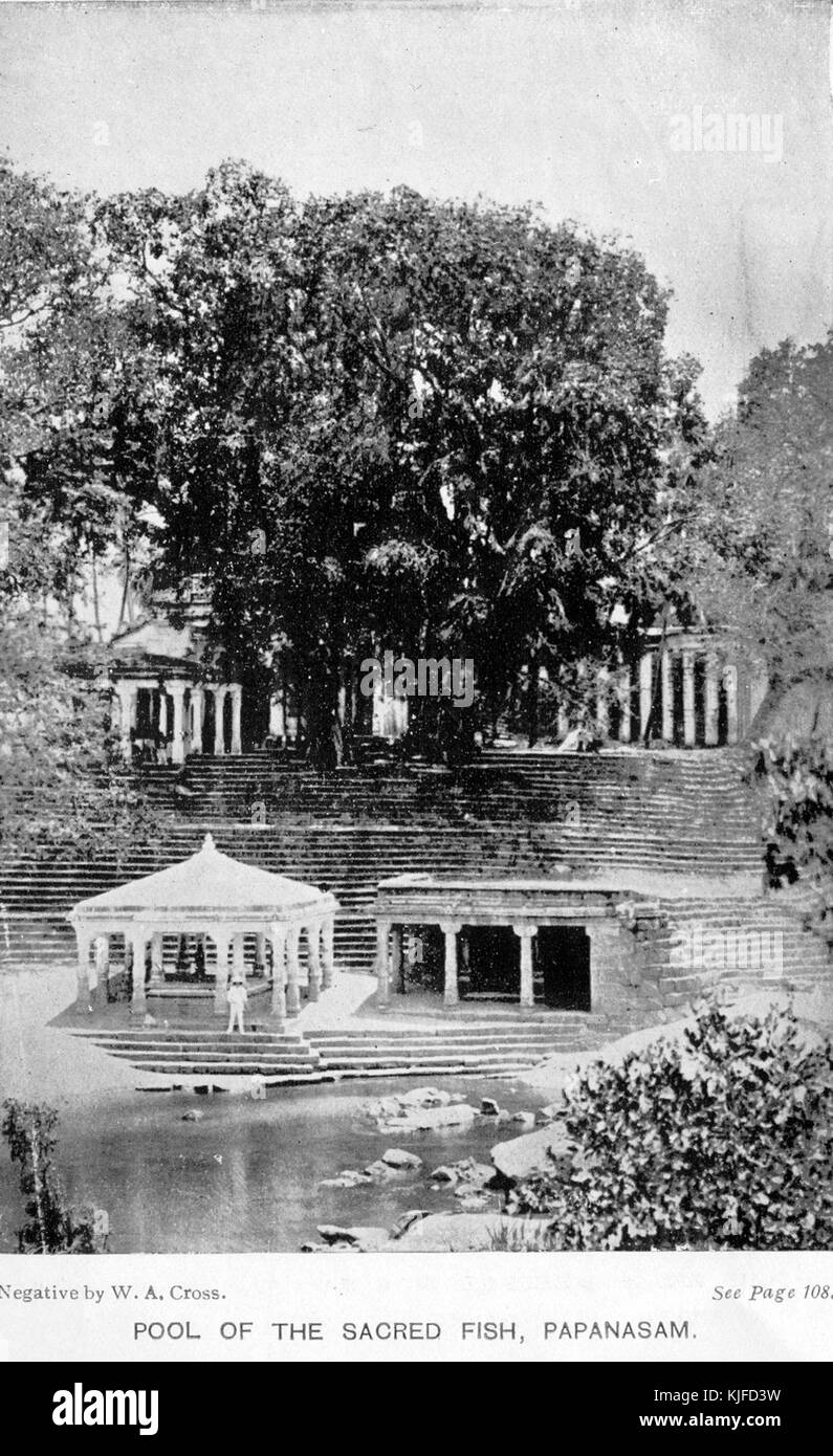Papanasam Pool in Tamil Nadu, Indien, ist ein heiliger Ort, der für seine historische und kulturelle Bedeutung bekannt ist. Der Pool, der angeblich heilige Fische beherbergt, zieht sowohl Gläubige als auch Touristen an. Stockfoto