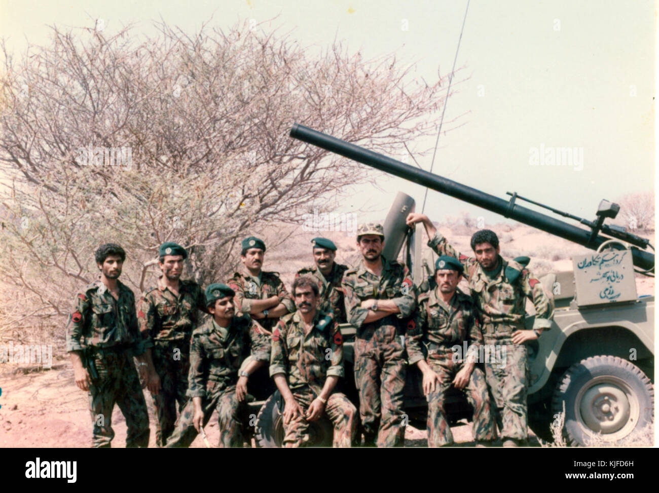 Persische Grünhelme 14. Stockfoto