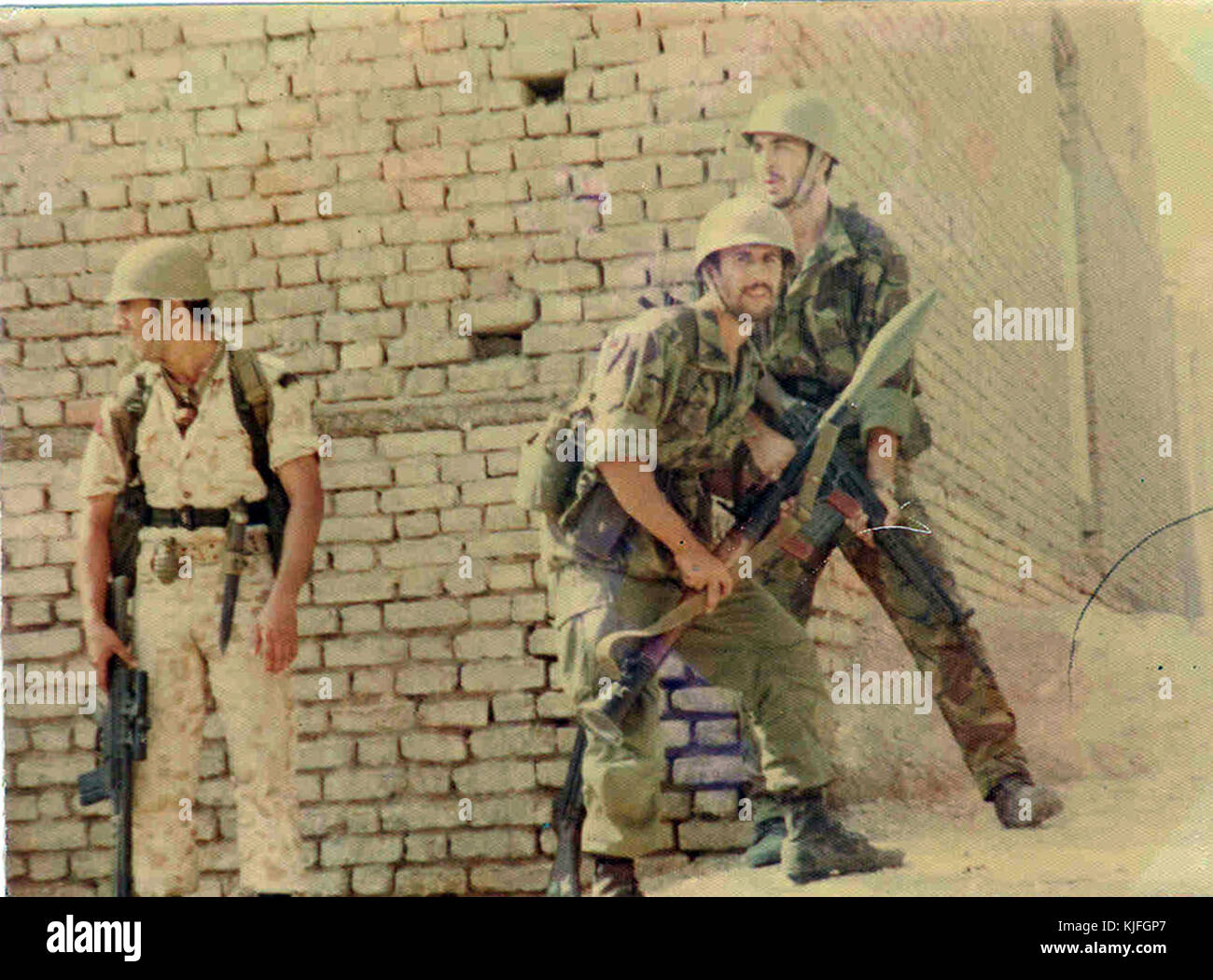 Persische Grünhelme 11. Stockfoto