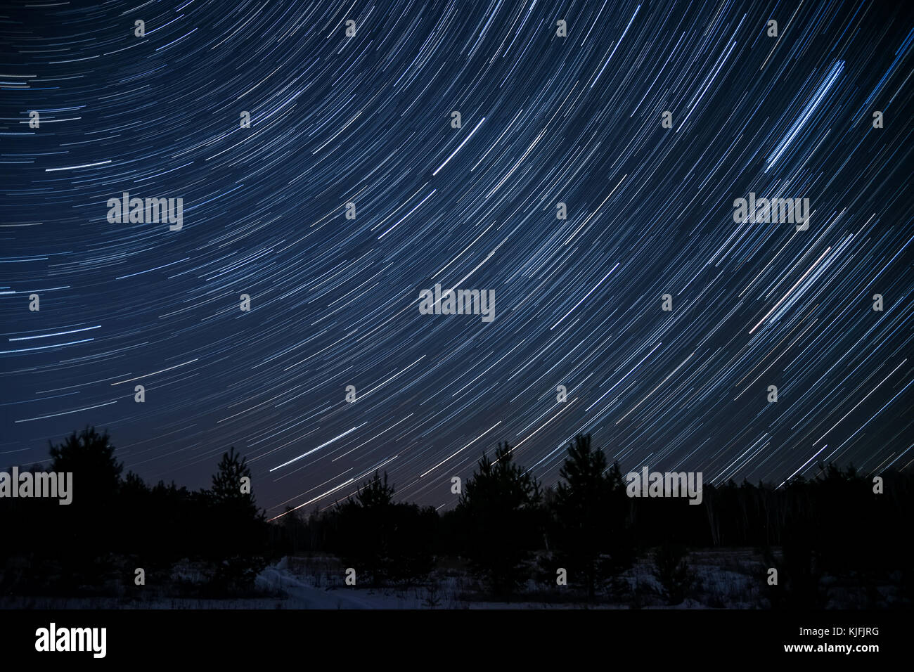 Nacht Landschaft mit Spuren von den Sternen am Nachthimmel auf dem Hintergrund eines dunklen Wald Stockfoto