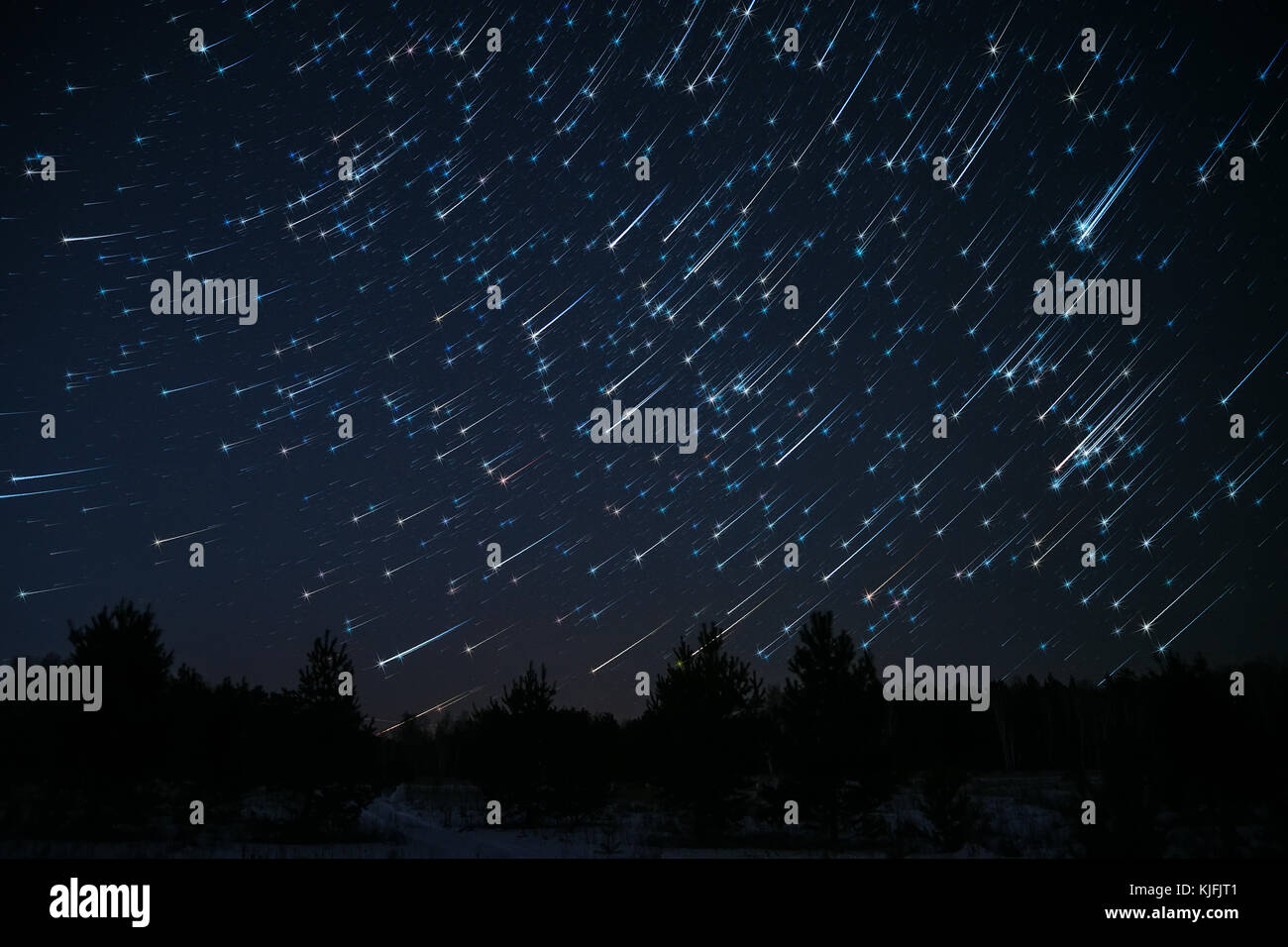 Nacht Landschaft mit Stars und Spuren der Sterne am Nachthimmel auf dem Hintergrund eines dunklen Wald Stockfoto