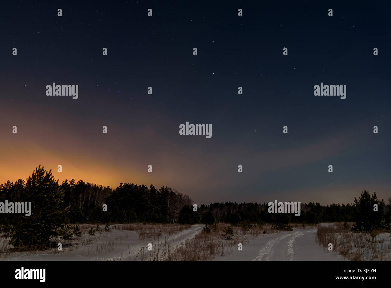 Nacht Szene mit Weihnachtsbäumen und die Straße im Winter Wald auf einem Hintergrund von Sternen und Sky Stockfoto
