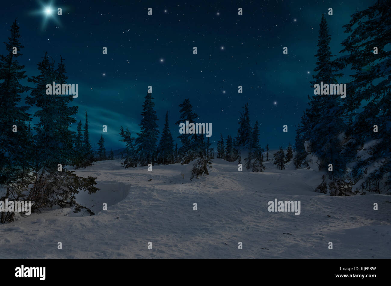 Nachtaufnahme mit schneebedeckten Weihnachtsbäume im Winter Wald vor dem Hintergrund der Sterne und der Himmel Stockfoto