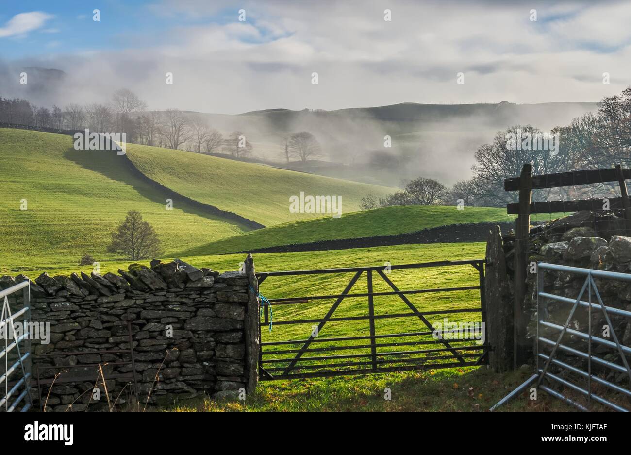 Feld Tor, Trockenmauern Wand, und rollenden englische Landschaft Stockfoto