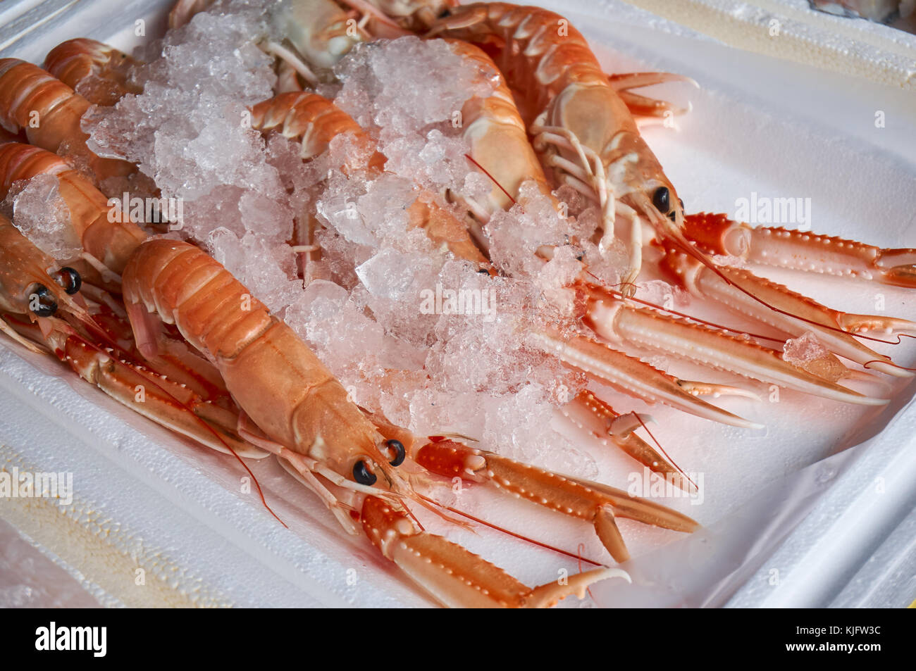 Schale mit frischen schottischen Langustinen (Nephrops norvegicus), andernfalls bekannt als Scampi, mit Eis, auf einem lokalen Sea Food Markt. Stockfoto