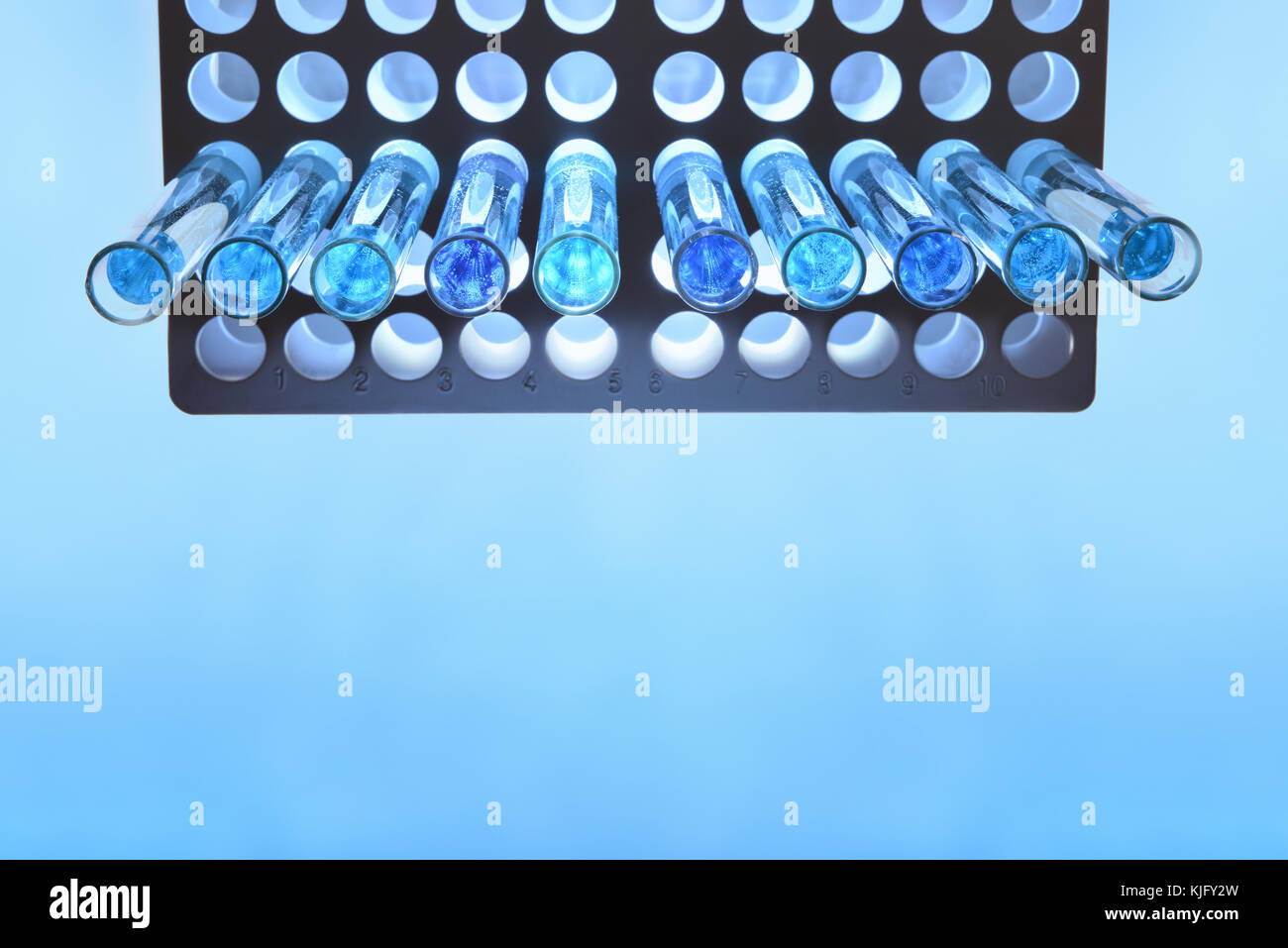 Rohre mit blauer Flüssigkeit auf reagenzglasständer auf blauen Tabelle. Ansicht von oben Stockfoto