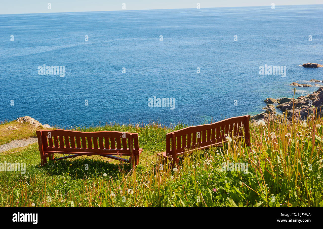 Holz- clifftop Sitze auf der atlantischen Küste von Kanada, Avalon Halbinsel, Neufundland, Kanada Stockfoto