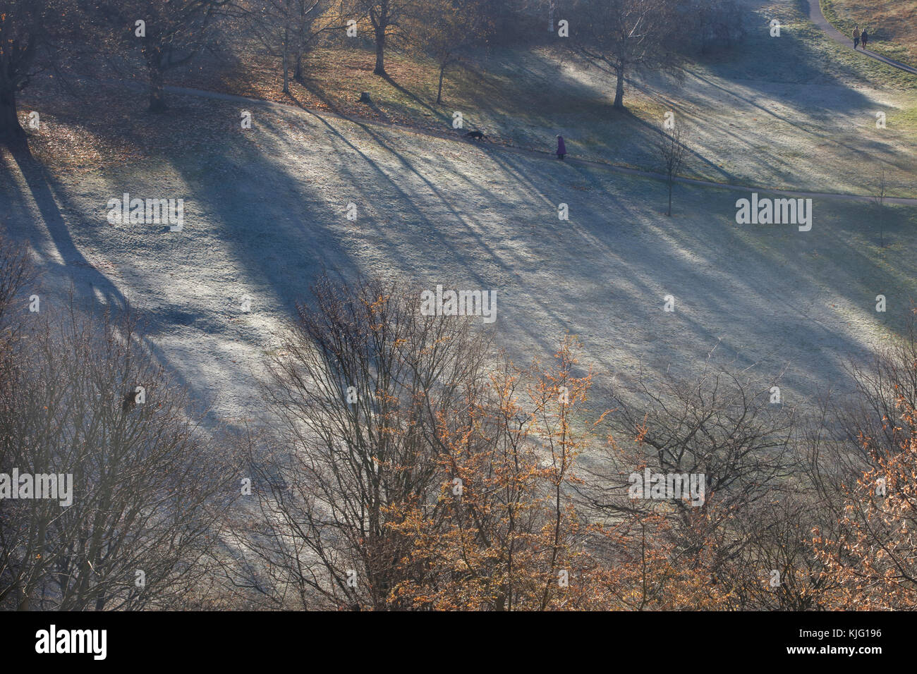 Frostigen morgen im Greenwich Park, Greenwich, London, UK Stockfoto