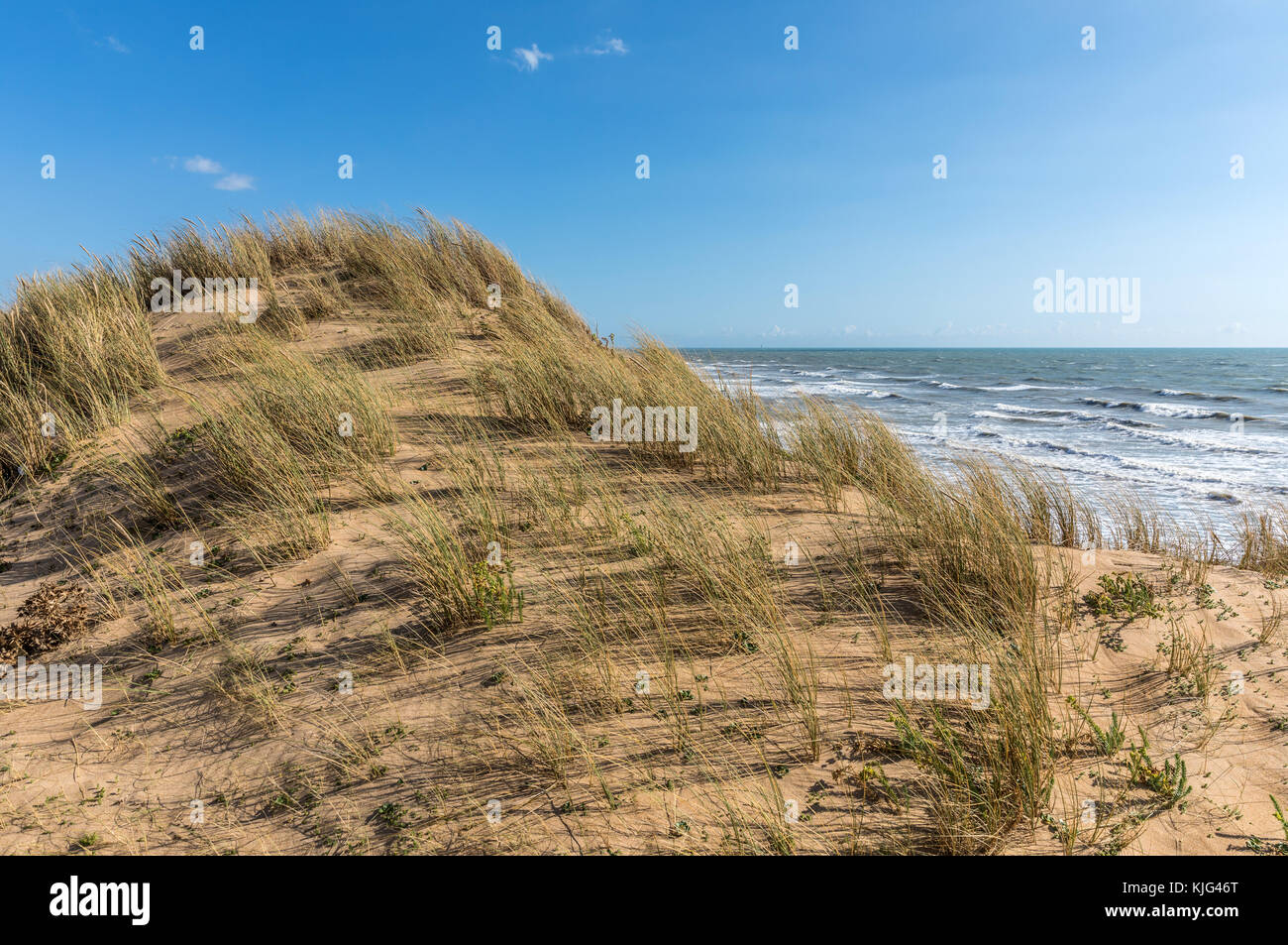 Sand dune unter dem Wind an der Westküste von Frankreich (Olonne-sur-Mer, Vendee) Stockfoto