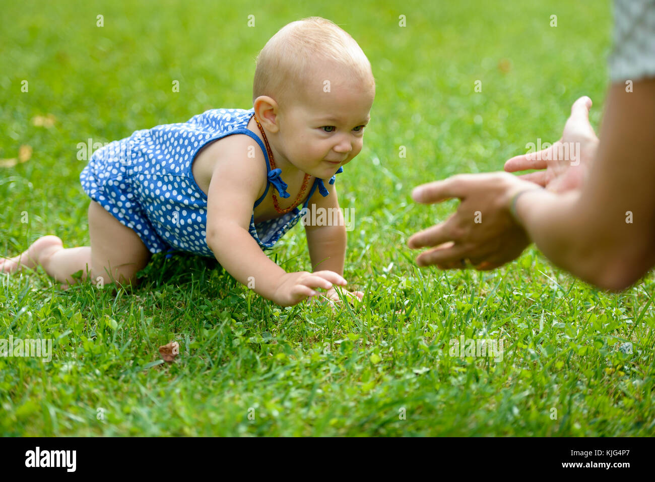 Kleines Mädchen krabbelt durch eine Wiese im Grünen, Bayern, Deutschland Stockfoto