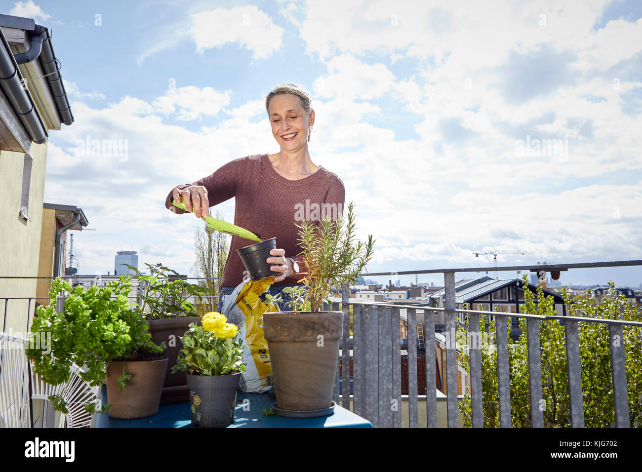 Lächelnd reife Frau Pflege für Pflanzen auf dem Balkon Stockfoto
