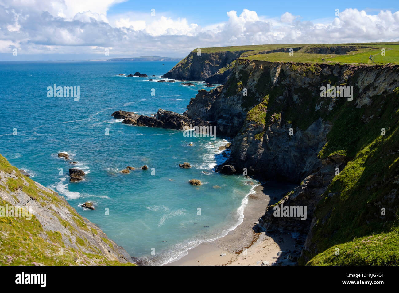 00203mit Seehunden bin Godrevy Godrevy Point, Portreath Heritage Coast, bei Gwithian, Cornwall, England, Großbritannien Stockfoto