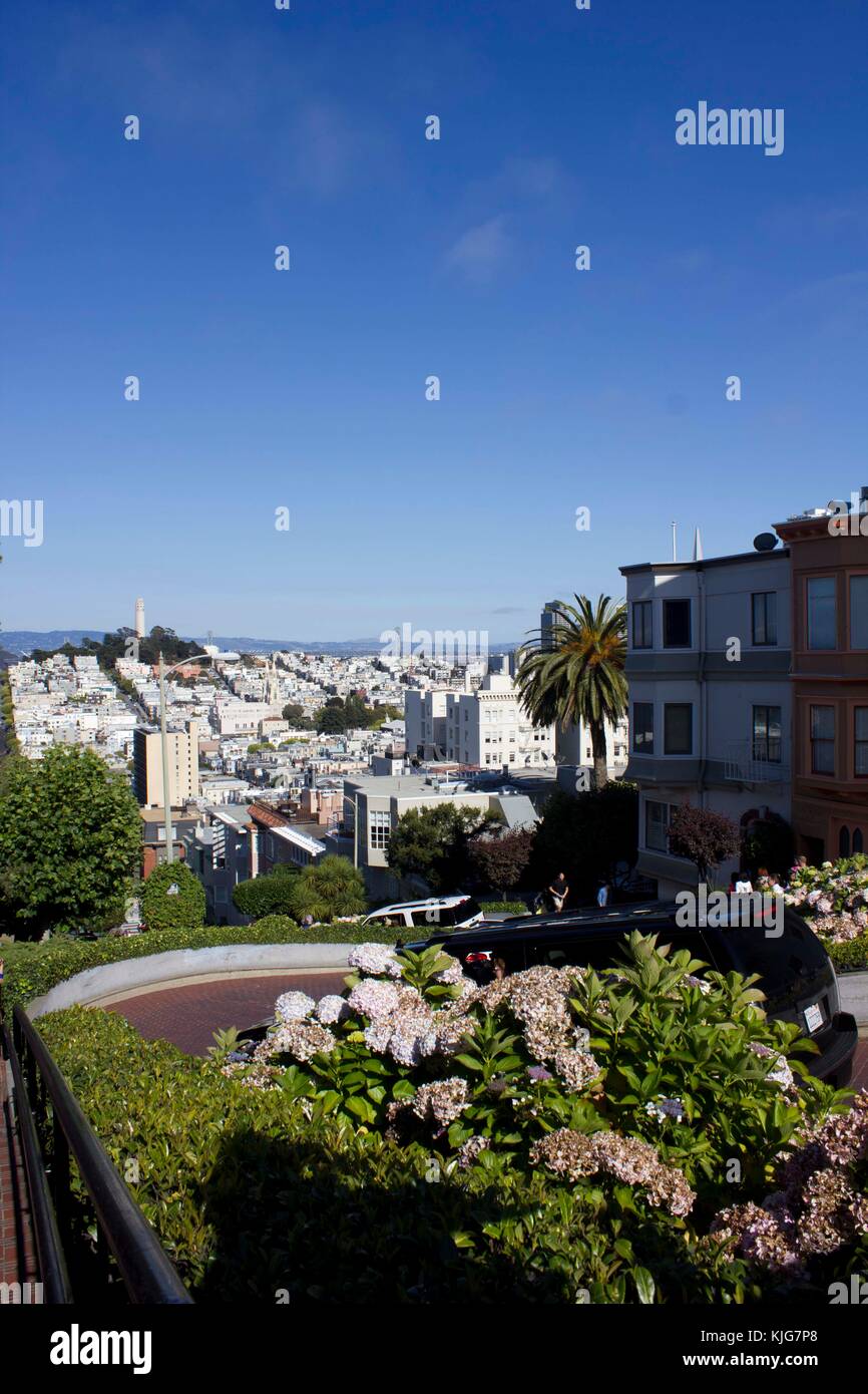 San Francisco, USA - 11.August 2013: Die berühmte Lombard Street in San Francisco, berühmt für seine steil, eine Blockstrecke mit acht Haarnadelkurven, mit t Stockfoto