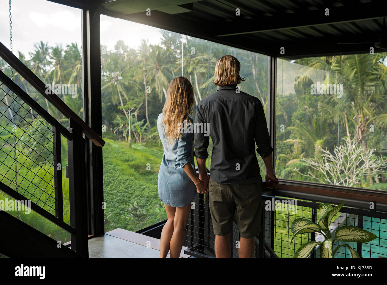 Auf der Suche nach atemberaubenden Blick durch die gläserne Fassade in zeitgenössischem Design Haus umgeben von einem üppigen tropischen Garten Stockfoto