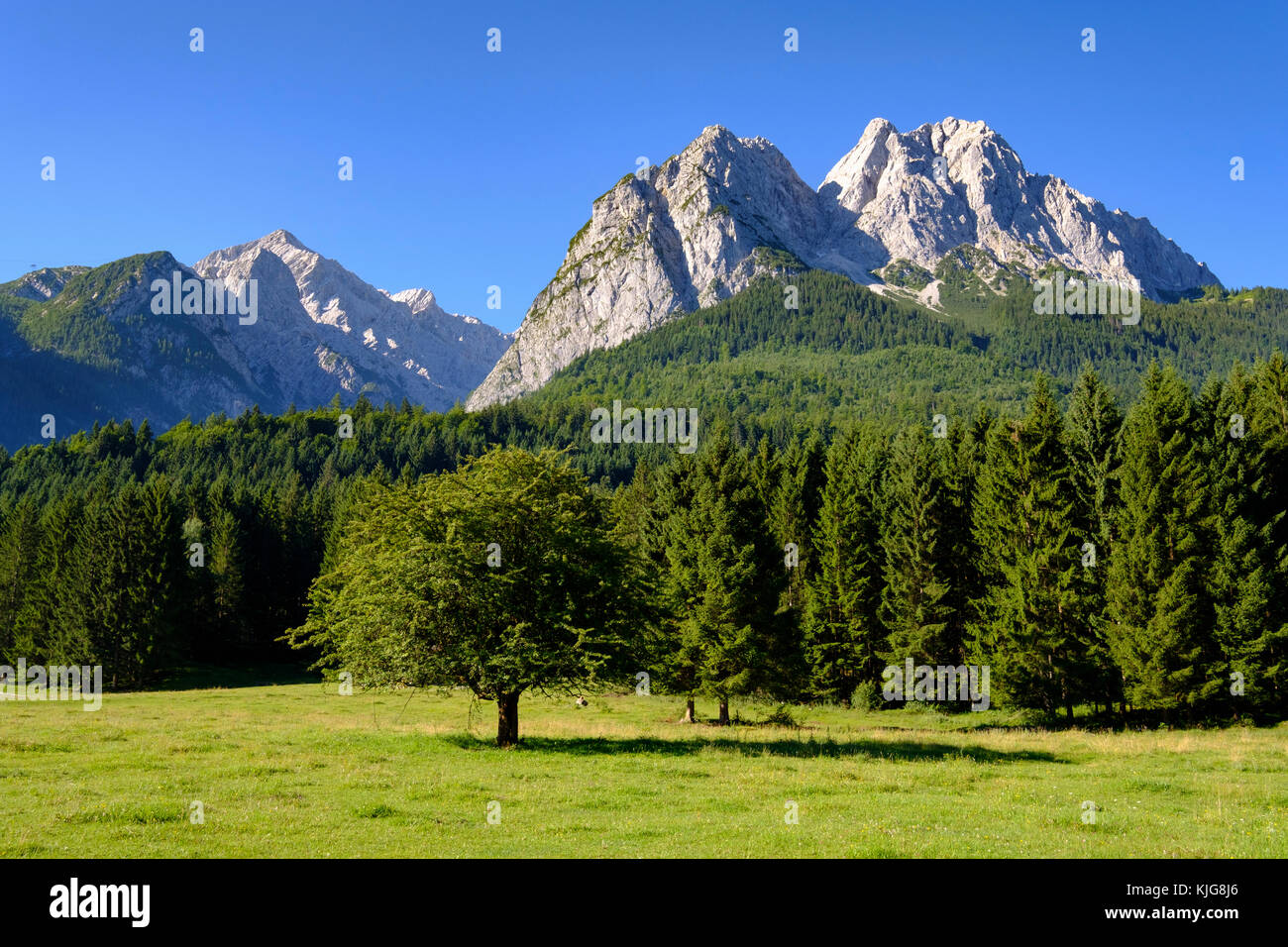 Alpspitze und Waxenstein, gesehen von Hammersbach und Grainau, Wettersteingebirge, Werdenfelser Land, Oberbayern, Bayern, Deutschland Stockfoto