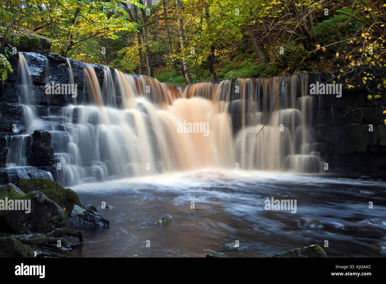 Wasserfall auf Whitfield Gill in der Nähe von Helm wensleydale Yorkshire Dales National Park North Yorkshire Stockfoto