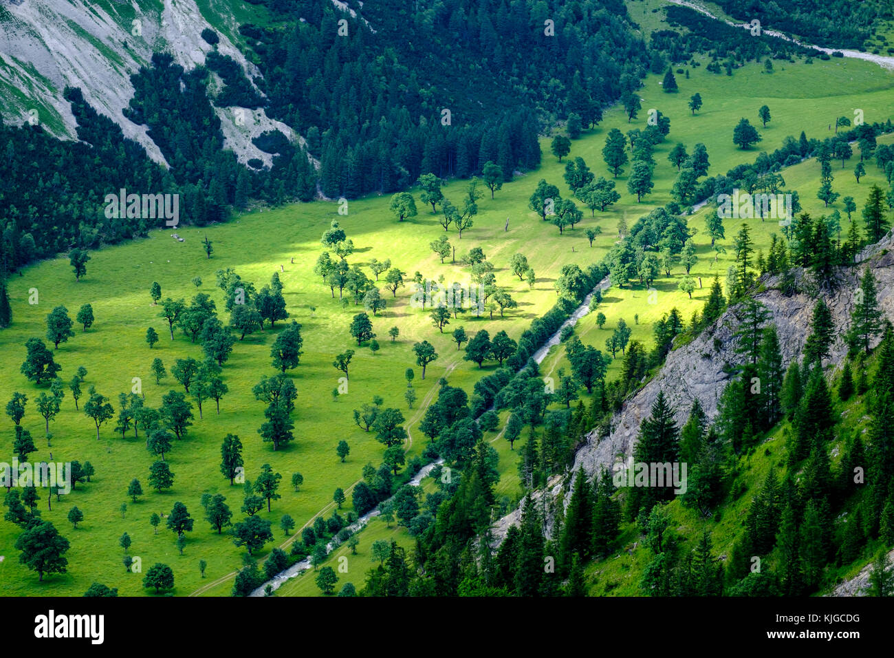 Großer Ahornboden vom Panoramaweg zur Binsalm, Eng, enger Tal, Rißbachtal, Karwendel, Tirol, Österreich, Stockfoto