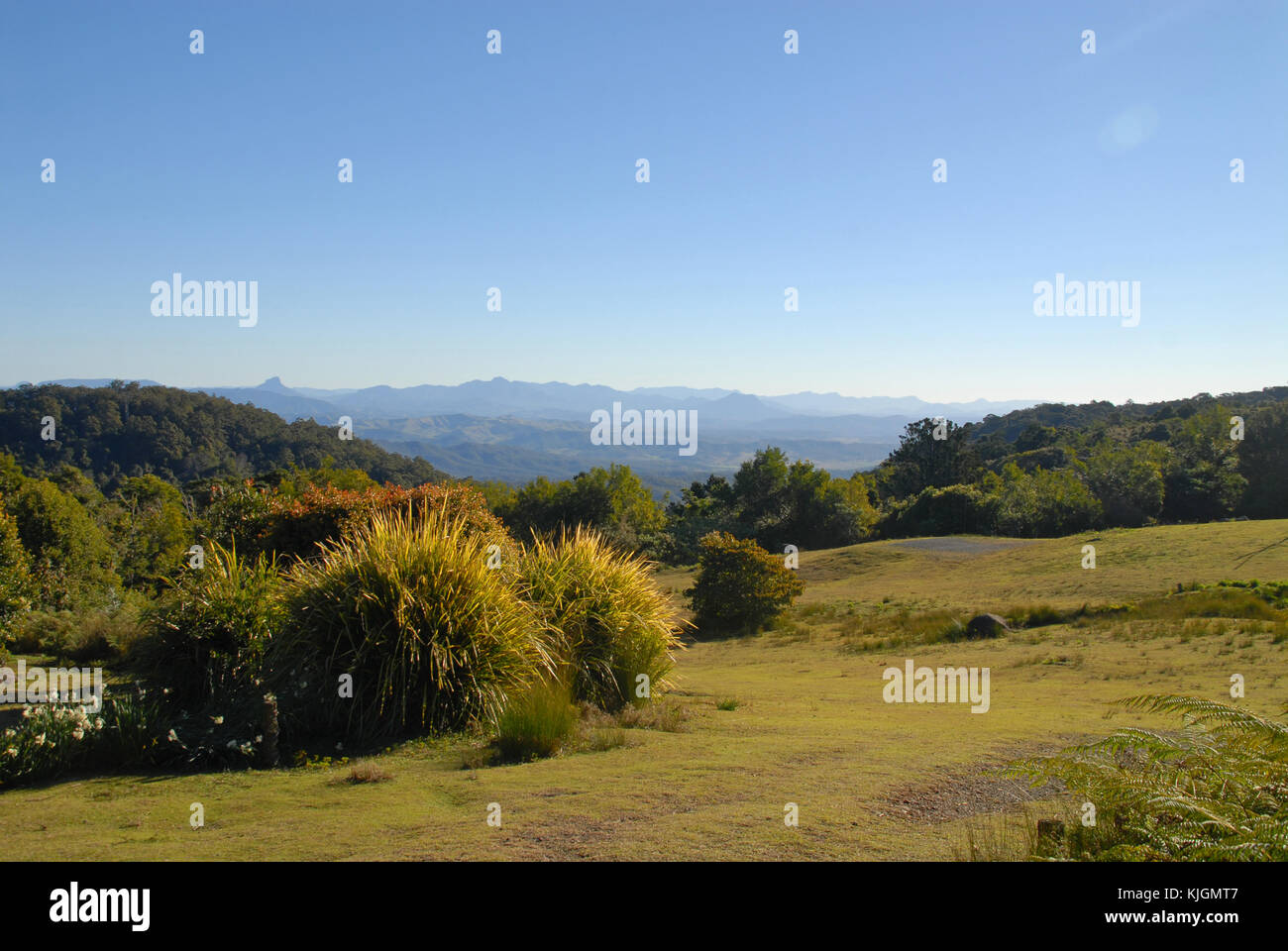 Blick auf die grünen Berge Abschnitt der Lamington Nationalpark von O'Reilly's, Australien Stockfoto