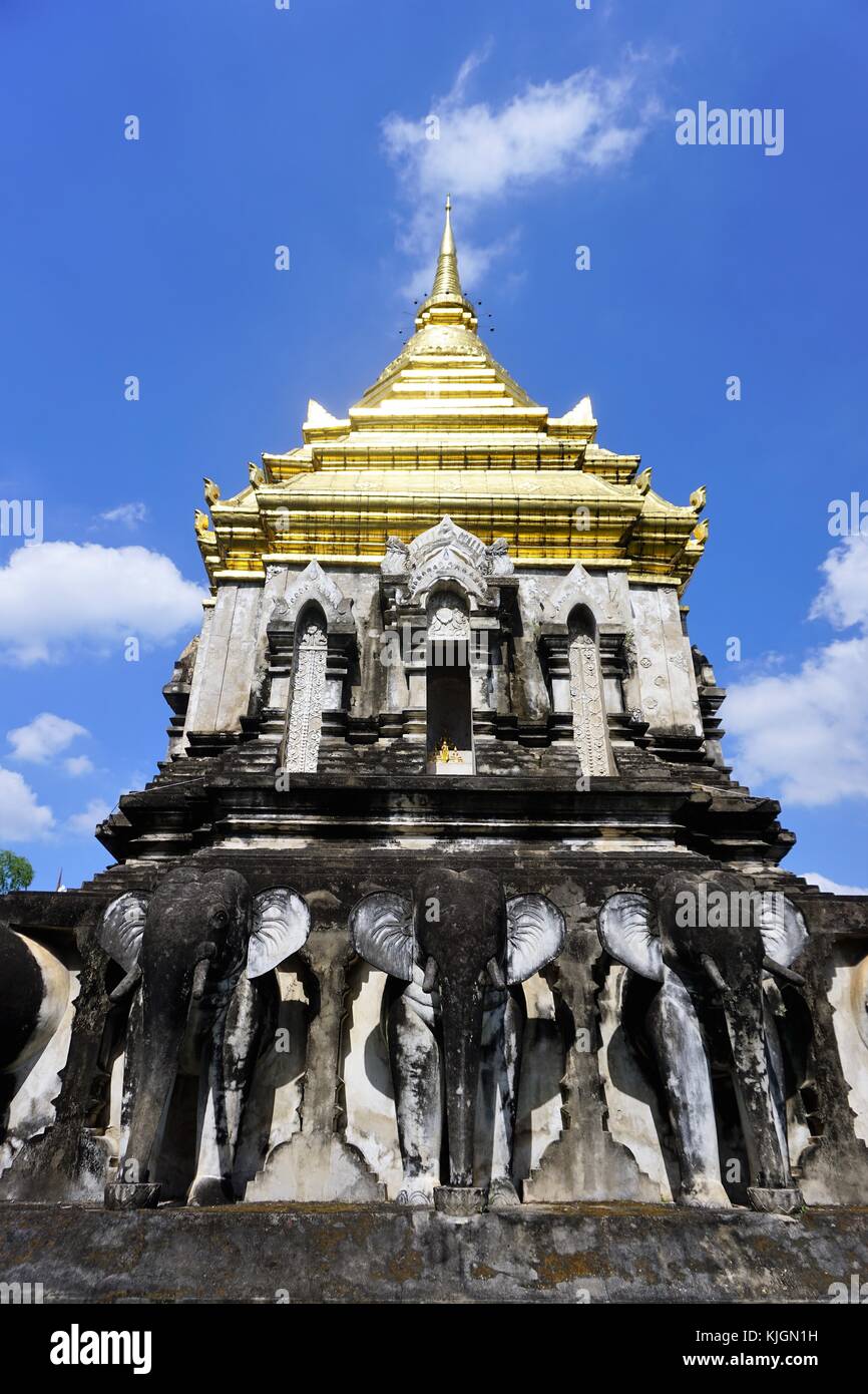 Elefanten in Tempel in Chiang Mai Thailand Stockfoto