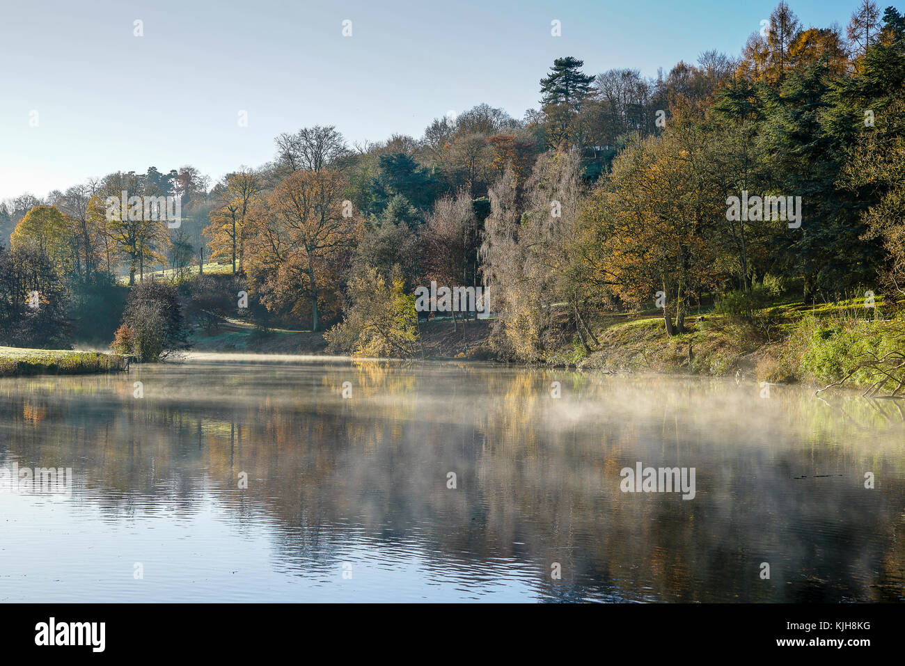 Winkworth Arboretum, godalming. 25. November 2017. Schwankende Temperaturen über Nacht led-Bedingungen über dem Haus Grafschaften zu eisig kalt aber sonnig Wetter Winkworth Arboretum, in der Nähe von Godalming, Surrey. Credit: James Jagger/alamy leben Nachrichten Stockfoto