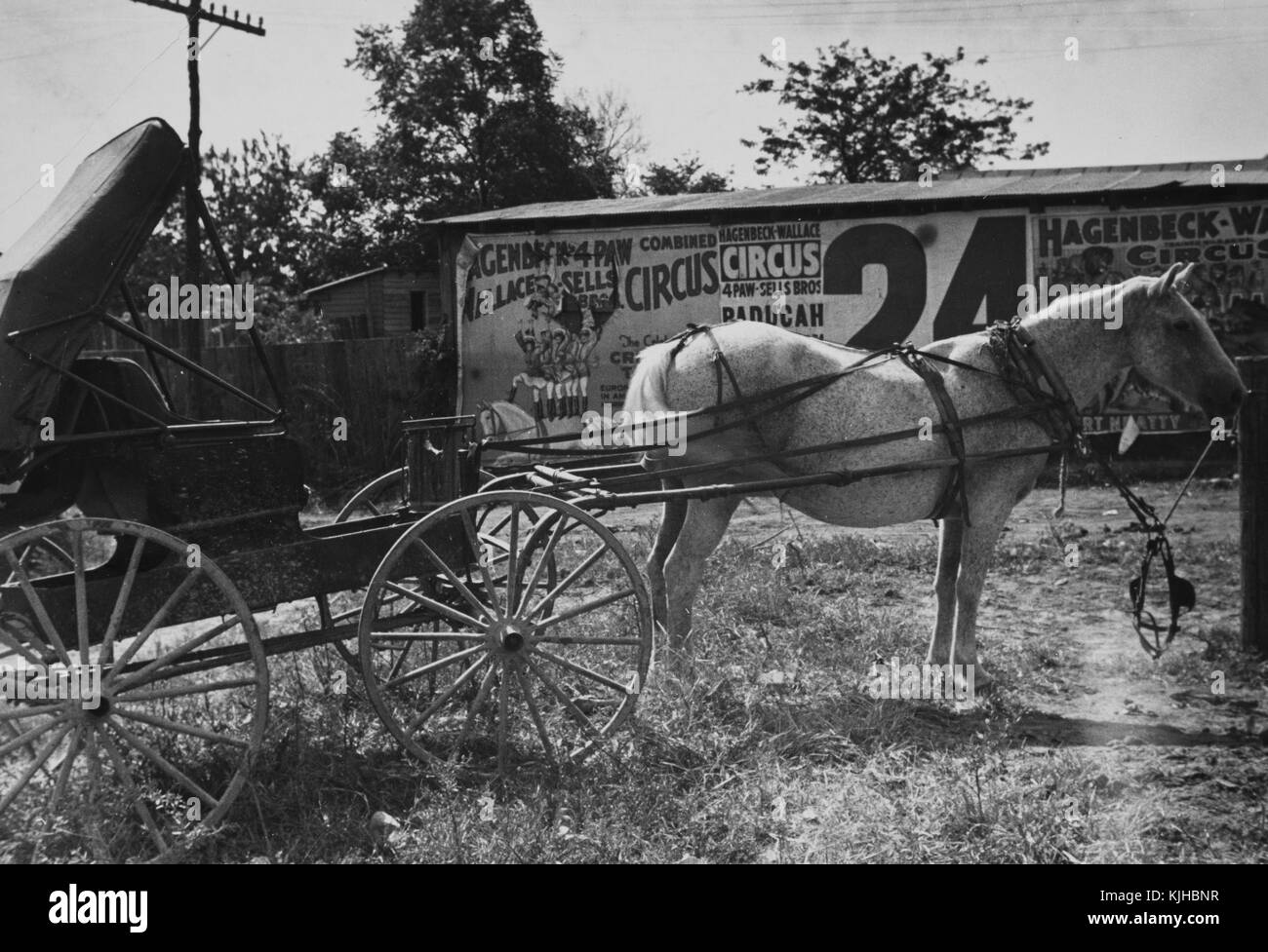 Schwarz-weiß Foto von einer Pferdekutsche vor af ein Gebäude Seite Werbung für ein Zirkus, von Ben Shahn, Litauisch geboren, amerikanische Künstler für seine Arbeit bekannt für die Farm Security Administration dokumentieren die Auswirkungen der Großen Depression, smithland, Kentucky, 1935 von der New York Public Library. Stockfoto