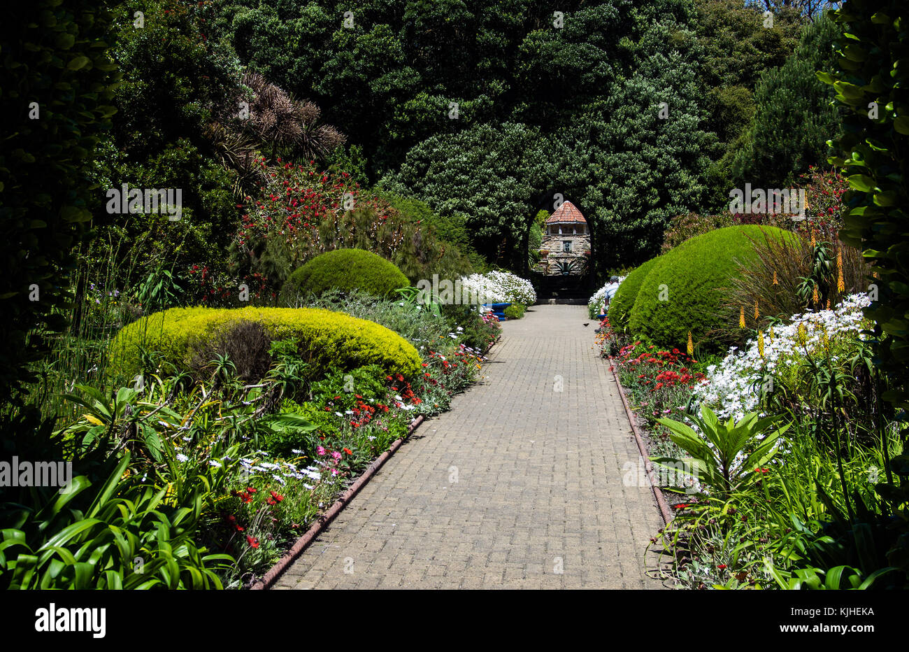 Tresco Abbey Garten, tresco Stockfoto